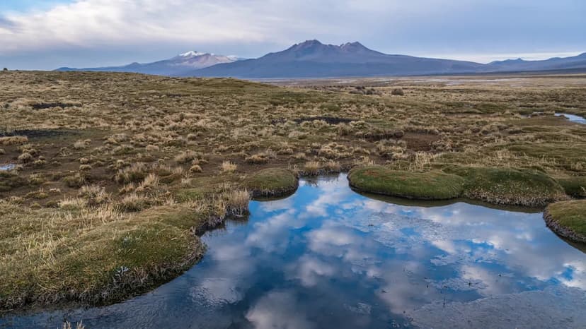 Extinct Fish Species Found Alive in Bolivia!