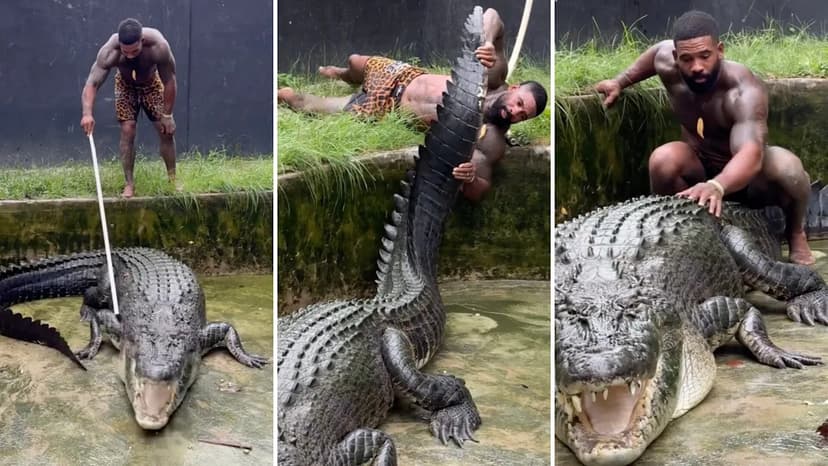 Influencer Faces Backlash for Illegally Capturing Protected Wildlife in Australia