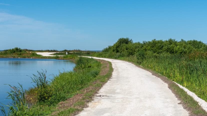 Discover Florida's Hidden Gem: Lake Apopka Wildlife Drive Celebrates 10 Years