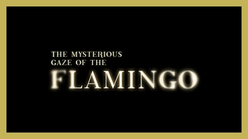 Flamingo's Gaze: AIDS Fear in 1980s Chile