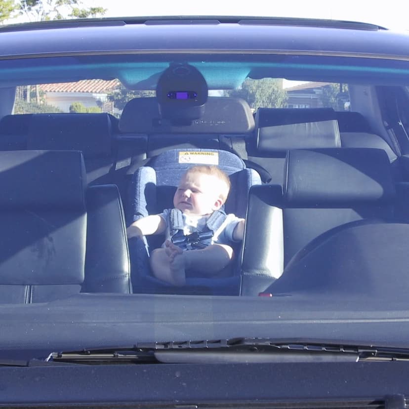 Florida Leads Nation in Tragic Hot Car Deaths