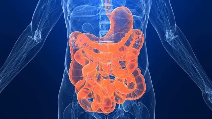 Gut Microbes May Aid Autism Therapy