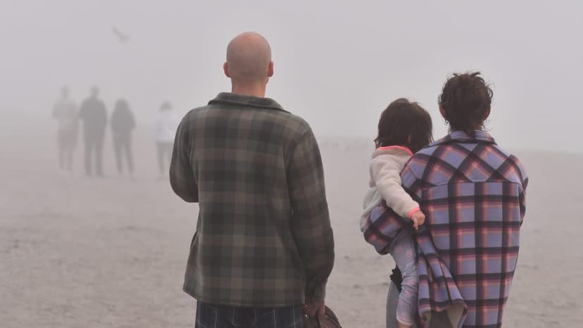 Fog: A Living, Breathing Air Purifier?