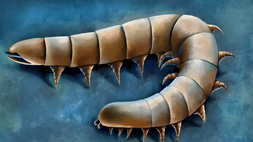 Ancient Fossil Reveals Arthropod Land Conquest
