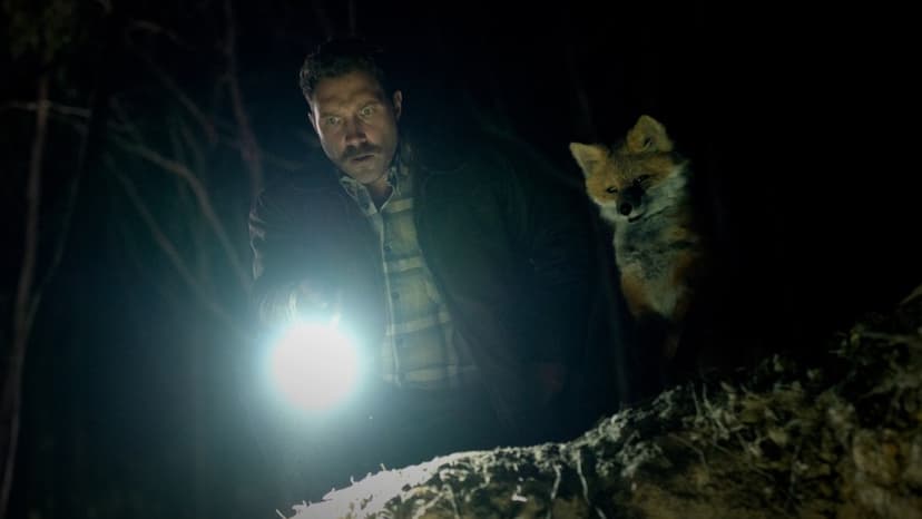 Talking Animals Expose Dark Secrets in 'The Fox'