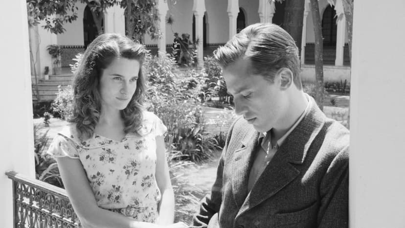 French Cinema Lights Up New York