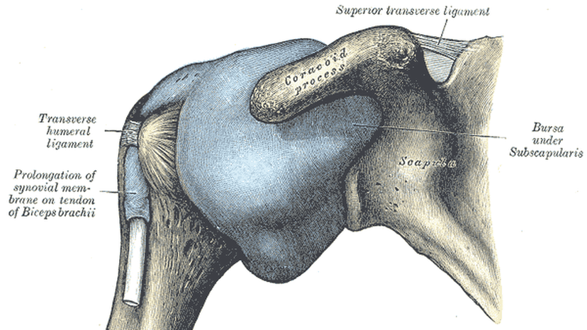 Frozen Shoulder: The Silent Desk Job Danger