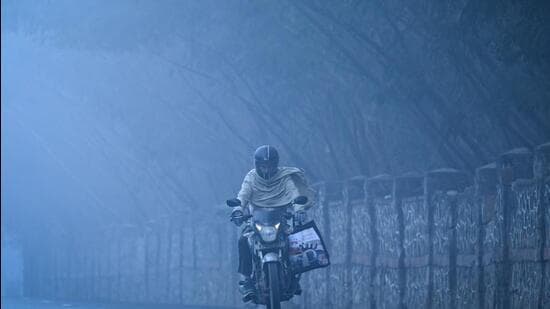 Himalayas Parched: January Snowfall Vanishes