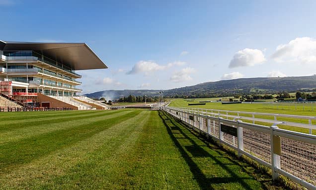 Ex-Rider's Brutal Horse Abuse Sparks Eight-Month Ban