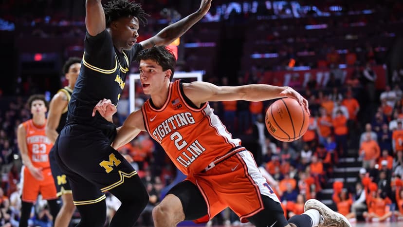 Illini Seek Bounce-Back vs. Struggling Ducks