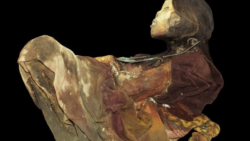CT Scans Reveal Gruesome Inca Child Sacrifices