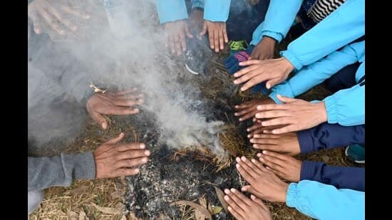 India Gripped by Severe Cold Wave: Fog Blinds Nation