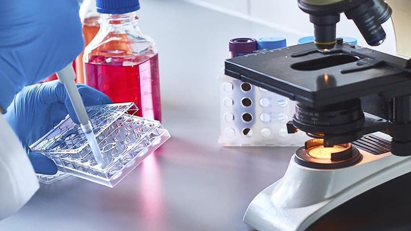 India's Genetic Diversity: Key to Global Cancer Fight?