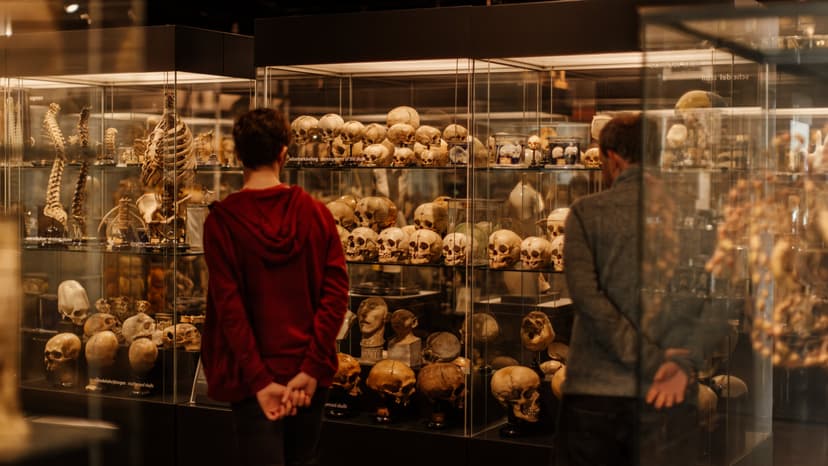 Indonesia Skulls Returned From Dutch Museum