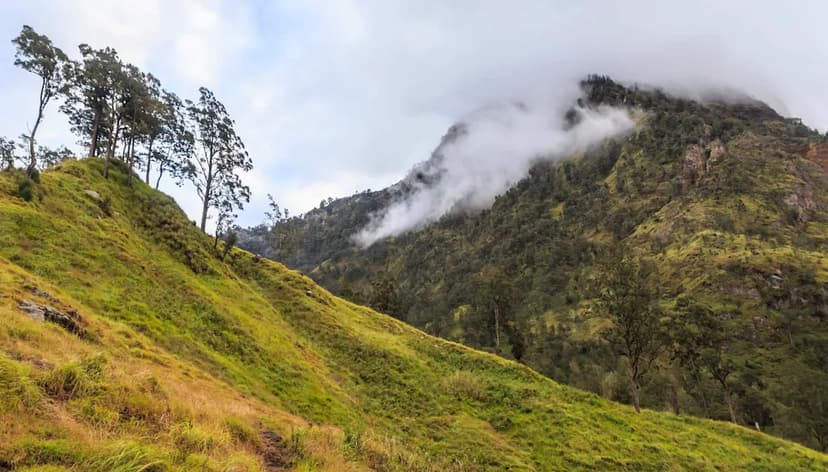 Indonesia Forest Gold Rush: 500 Miners Caught Red-Handed