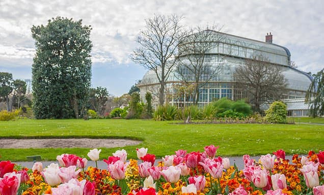 Ireland's Plant Ark: Seeds Saved for Future Disasters
