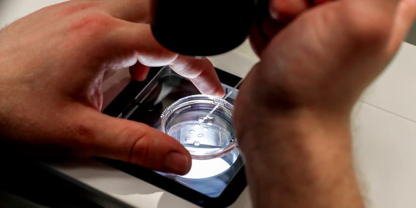 IVF Clinic Mix-Up: Couple Gets Wrong Embryos