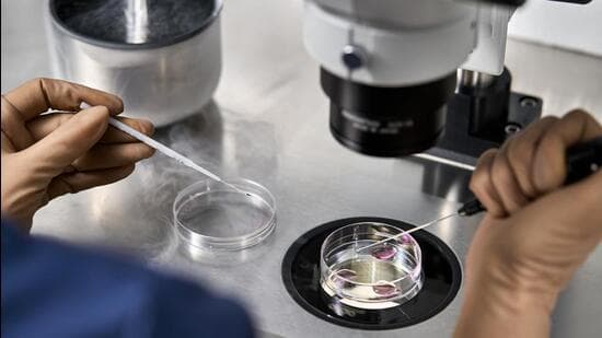 Court Orders IVF Clinic De-sealing for Embryo Preservation