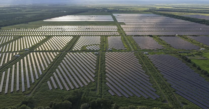 Japan Cements Green Power Oversight