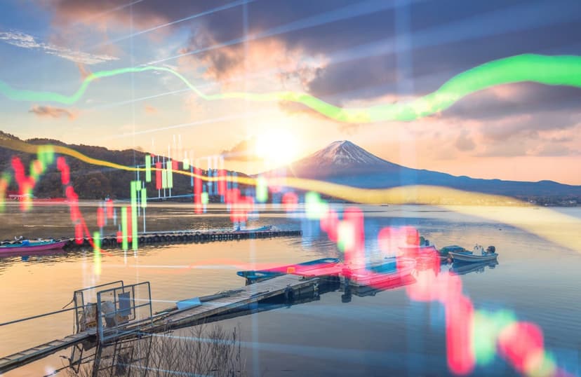 Japan Bets Big on AI Robots for Survival