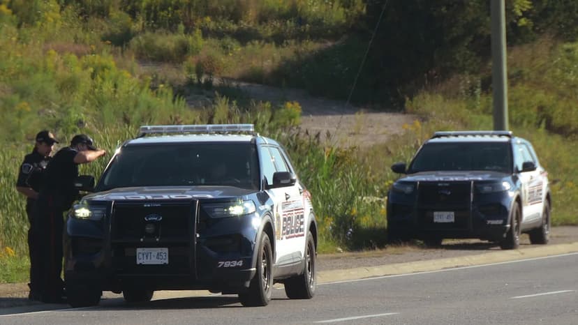 Moose on the Loose: Keene Police Spark Chase Debate