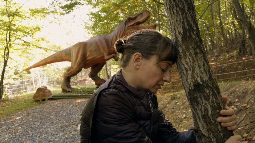 Kontinental '25: Laughter Stings