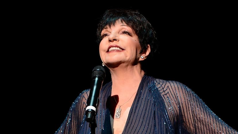 Liza Minnelli Honored at GLAAD Awards