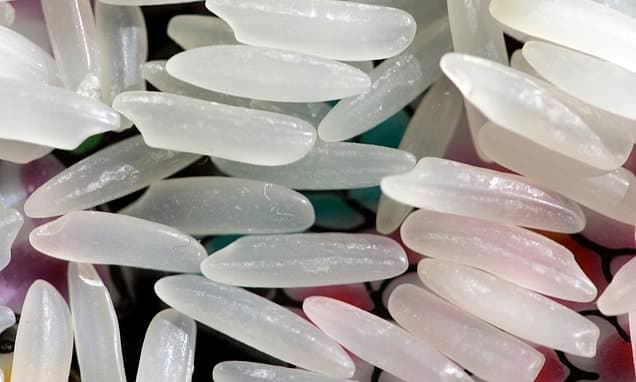 Chill Your Food, Cut Your Calories?