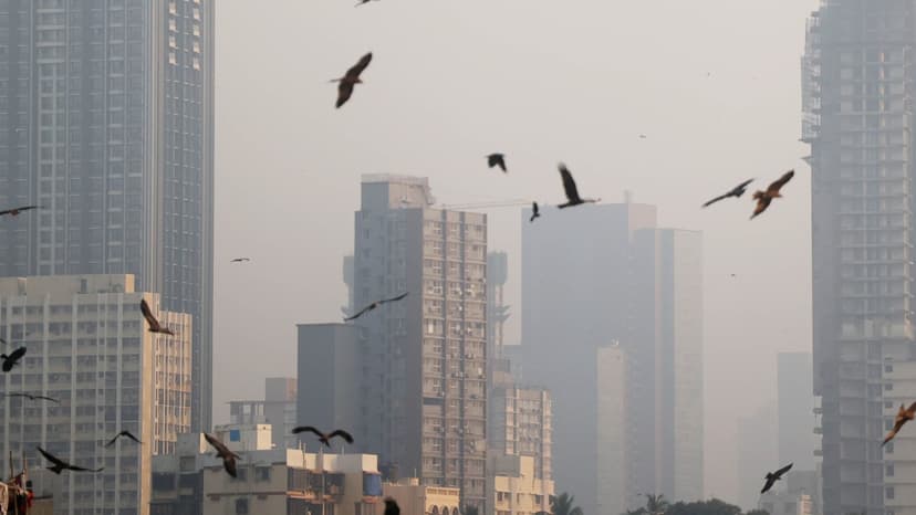 Breathe Easier: How LEZs Combat Urban Smog