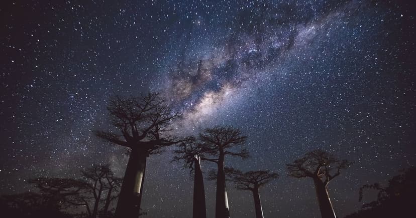 Madagascar: The Lost World of Unique Life