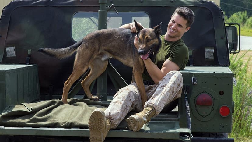 Max: Critics Panned, Audiences Loved This Dog Film