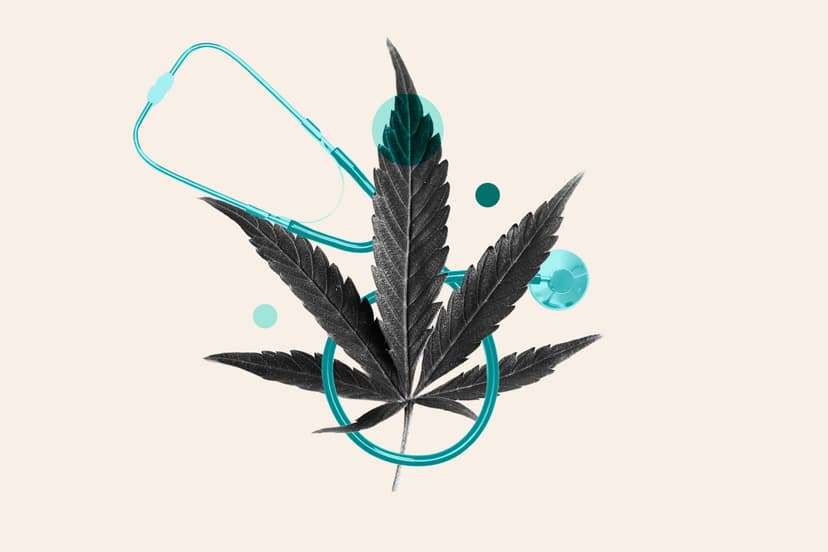 Cannabis for Health: Evidence Lacking, Risks High