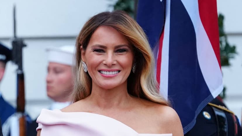 Melania Trump Stuns in $80K Dior Gown at State Dinner