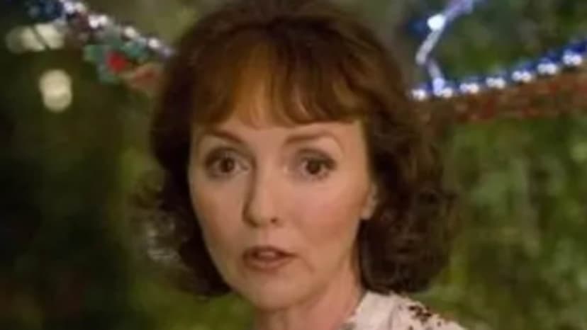 Gavin & Stacey Star Escapes Scam Twice