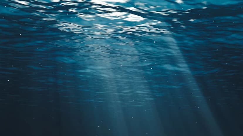 Microplastics Invade Deep-Sea Vents