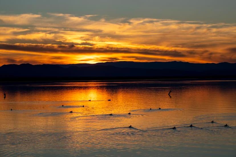 Man Charged in Missing Teen's Dismemberment Death