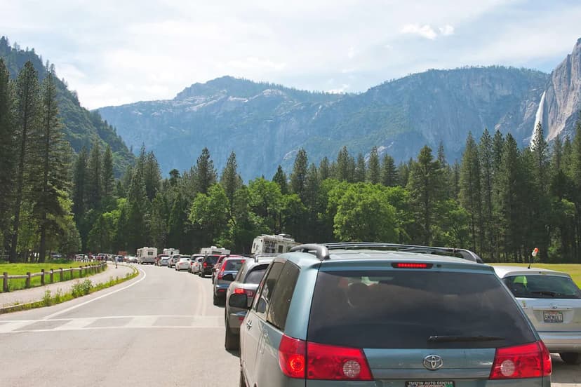 National Parks' Reservation Chaos