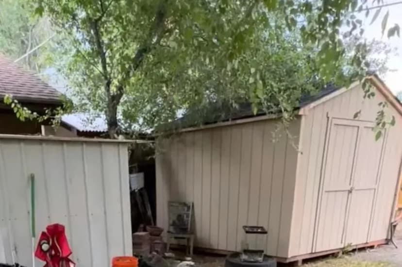Neighbor Destroys Memorial Tree: Homeowner Enraged