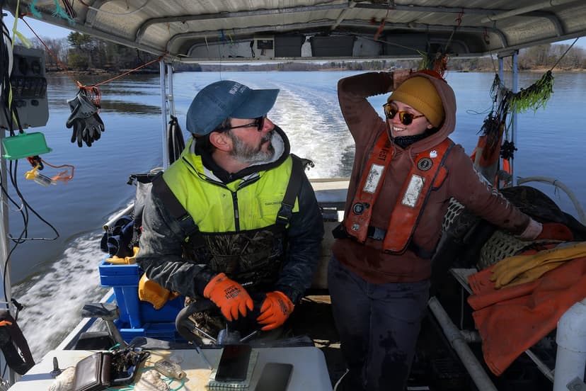 N.H. Scientists Probe Deadly Winter Oyster Die-Offs