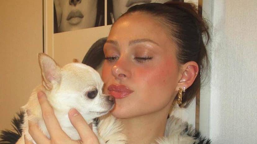 Peltz Beckham: Groomer 'Maimed' Pets, Demands Records