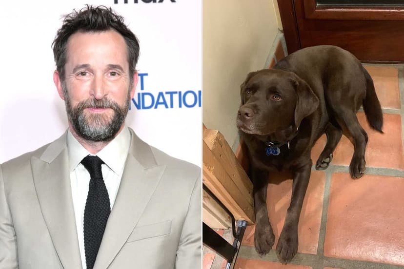 Noah Wyle Mourns Unexpected Death of Beloved Dog