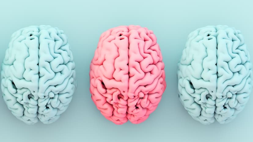 Obesity & Choline Lack: Brain Aging Alarm