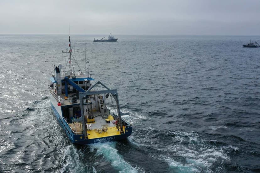 Ocean Alkalinity Boosts CO2 Removal: Trial Success