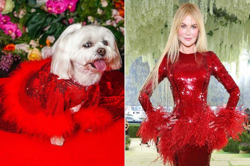 Canine Couture: Dogs Recreate Met Gala Looks