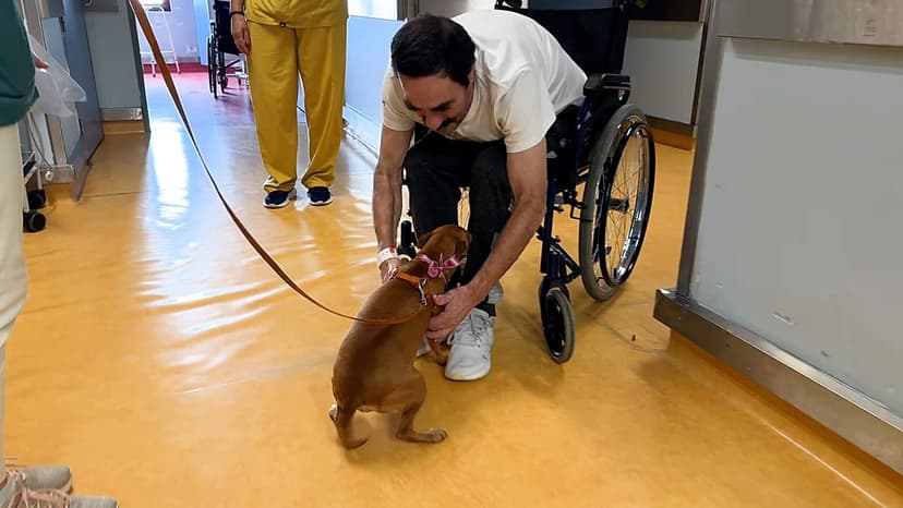 Pets Now Allowed in Hospital Wards