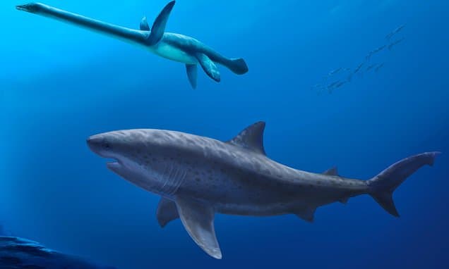Ancient Mega-Predator Shark Rewrites History