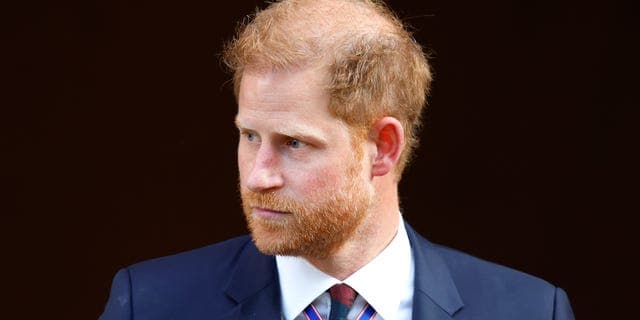 Prince Harry Rejects 'Not a Working Royal' Label