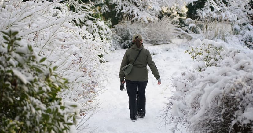 Winter's Chill: Protect Your Garden Now!