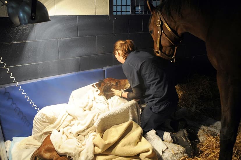 New Hope for Foals Battling Deadly Pneumonia