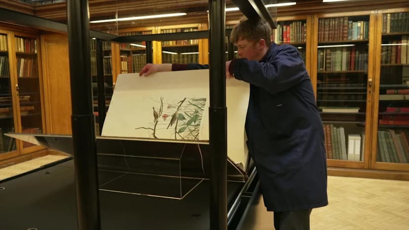 Rare Bird Book Insured for £7.5M Found in TV Show